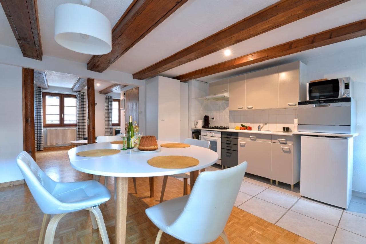 Appartement La Grande Terrasse Du Centre Colmar Kültér fotó