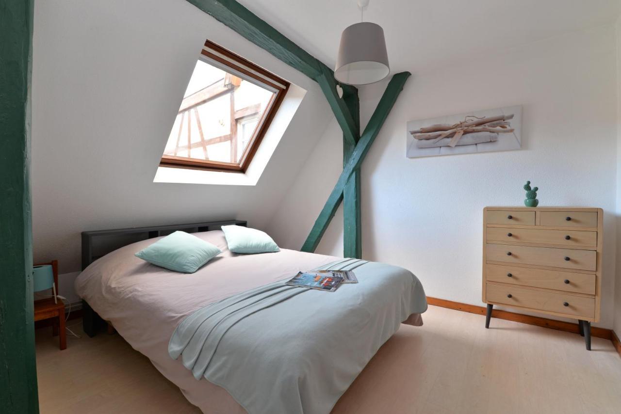 Appartement La Grande Terrasse Du Centre Colmar Kültér fotó